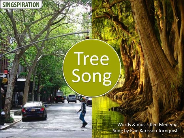 ken medema tree song